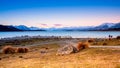 Beautiful scene near Lake Takapo New Zealand during holiday.