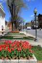 Beautiful scene of real estate and Springtime, downtown Broadway, Saratoga Springs, New York, 2016