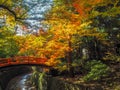 Beautiful scene red wooden bridge over the canal in public park with colorful maple trees with sunlight Royalty Free Stock Photo