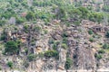 Beautiful scene of rocky cliffs covered with trees Royalty Free Stock Photo