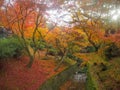 Beautiful scene of small canal in japanese temple garden with colorful maple trees