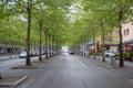 Beautiful scene of street with fresh green trees and colorful buildings in Interlaken for background