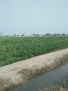 Beautiful scene, tower, village, rain