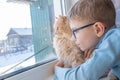 Beautiful scene two friends looking out fo window. Small boy with a cat stares out of window watching falling snow Royalty Free Stock Photo