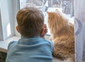 Beautiful scene: two friends looking out the window. Rear view of a little boy with a cat looking out the window Royalty Free Stock Photo