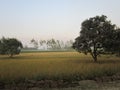 A beautiful scene of village in uttarpardesh india