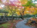 Beautiful scene of walk path in japanese temple with colorful maple trees with sunlight Royalty Free Stock Photo