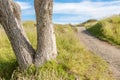 Beautiful scene of walking track beside alone tree on Auckla Royalty Free Stock Photo