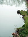 Beautiful scene Water reflect Lakeside in the green park of Brugge Royalty Free Stock Photo