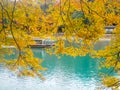 Beautiful scene of yellow maple branches on emerald green river with boat background Royalty Free Stock Photo