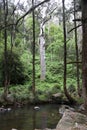 Beautiful scenery along the Condamine River Road