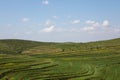 The beautiful scenery along the grassland Tianlu in Zhangbei County, Zhangjiakou Royalty Free Stock Photo