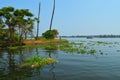 Beautiful scenery of backwaters of Alleppey Royalty Free Stock Photo