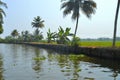 Beautiful scenery of backwaters Royalty Free Stock Photo