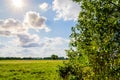 Beautiful scenery. Blue sky with clouds and sun and sunbeams around. Green field framed with trees. Royalty Free Stock Photo