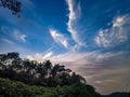 Beautiful scenery of bluish sunset with green trees and unfiltered clouds. Royalty Free Stock Photo