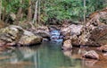 A beautiful scenery of Bukit Wang Recreational Rainforest.