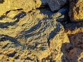 Beautiful scenery of caldera of Teide volcano in San Roques de Garcia, Tenerife. SpainRocks and lava in caldera of Teide volcano Royalty Free Stock Photo