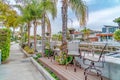 Beautiful scenery by the canal with palm trees and decks lining the walkway Royalty Free Stock Photo