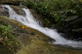 Beautiful scenery of cascaded river flowing through tropical rain forest