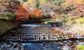 Beautiful scenery of a cascading stream and autumn foliage in the rural area of Kyoto, Japan