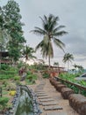 beautiful scenery with coconut trees and a small river with rocks and flowers Royalty Free Stock Photo