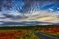 Beautiful scenery of the country road and heather meadows over blue cloudy sky