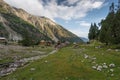 Beautiful scenery of Fairy meadow in summer season in a morning, Chilas, Gilgit Baltistan in Pakistan