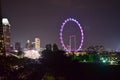 Beautiful scenery of famous ferris wheel in Singapore at night Royalty Free Stock Photo