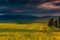 Beautiful scenery of a field surrounded by hills in the countryside Royalty Free Stock Photo