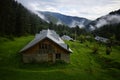 Beautiful scenery of a forest area in south kashmirs Daksum Royalty Free Stock Photo