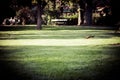 Beautiful scenery of a garden territory with a rabbit near the Schonbrunn Palace in Vienna Royalty Free Stock Photo