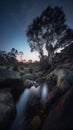 beautiful scenery glowing sky in Australia landscape photograph generative AI Royalty Free Stock Photo