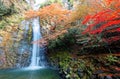 Beautiful scenery of a grand waterfall tumbling down the rocky cliff into a green pond surrounded by colorful autumn foliage Royalty Free Stock Photo