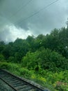 View of railroad, trees in rainy day Royalty Free Stock Photo