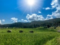 Beautiful scenery of green terraced rice fields with blue sky under sunlight on bright sunny day in Mae Klang Luang village, hill Royalty Free Stock Photo