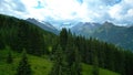 Beautiful scenery of green trees slope field with Alps mountain in the background