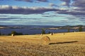 Beautiful scenery of harvested hay fields with straw bales on a cloudy sky Royalty Free Stock Photo