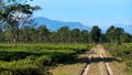 A beautiful scenery of Himalayan mountain foothills from Dooars and a rord across a tea garden West Bengal India.