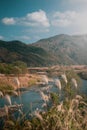 Beautiful Scenery of Hozugawa River in Kyoto, Japan Royalty Free Stock Photo