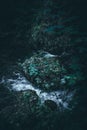 Beautiful scenery of huge rocks in the forest, covered with green plants and a river Royalty Free Stock Photo