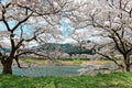 Beautiful scenery of idyllic Japanese countryside in springtime Royalty Free Stock Photo