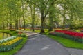 Beautiful scenery in Keukenhof royal flower garden in the Netherlands with beautiful flowerbeds and no people