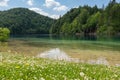 Beautiful scenery of a lake, fresh vegetation and mountain at Plitvice Lakes National Park Royalty Free Stock Photo