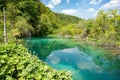 Beautiful scenery of a lake, fresh vegetation and mountain at Plitvice Lakes National Park Royalty Free Stock Photo