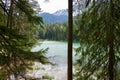 Beautiful scenery of a lake surrounded by fir trees with high rocky mountains in the background Royalty Free Stock Photo