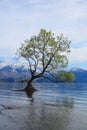 Beautiful Scenery And Lookout From Roys Peak Wanaka New Zealand Royalty Free Stock Photo