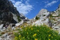 Beautiful scenery of Middle Teton in Grand Teton National Park, Wyoming Royalty Free Stock Photo