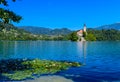 Beautiful scenery of mountain Lake Bled with an island and a church, in the foreground white flowers lilies