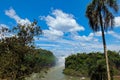 Beautiful scenery of Iguacu Iguazu falls and palm trees border of Brazil and Argentina